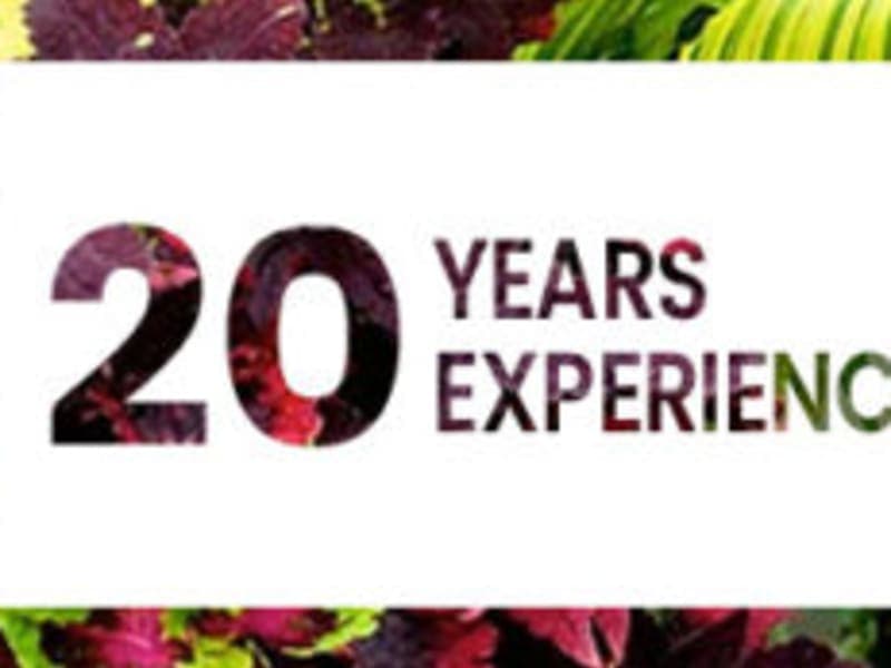 Salterra at St. Petersburg exterior